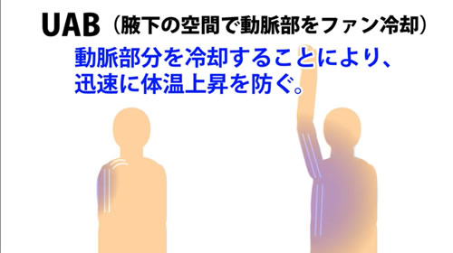 動脈部分を冷却することにより、迅速に体温上昇を防ぐ。